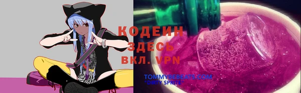 молекула духа Балахна