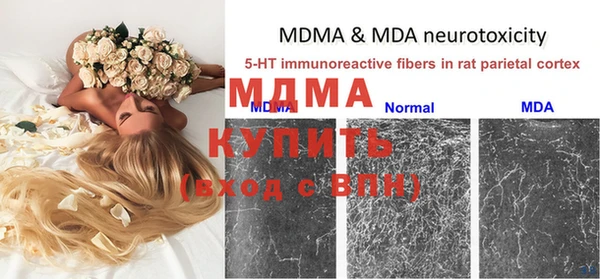 молекула духа Балахна