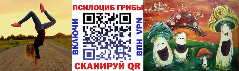 где купить наркоту  Пойковский  Галлюциногенные грибы Magic Shrooms 